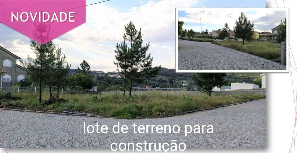 IMG-20250319-WA0006